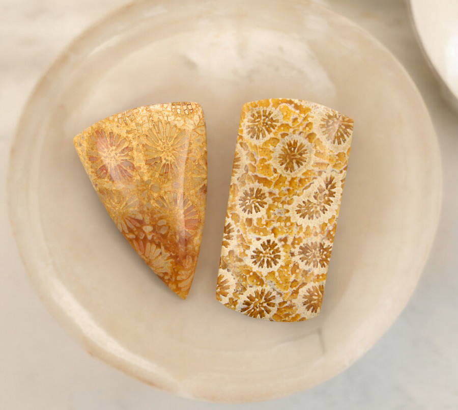 Hand Cut Fossil Coral Set of cabochon's 