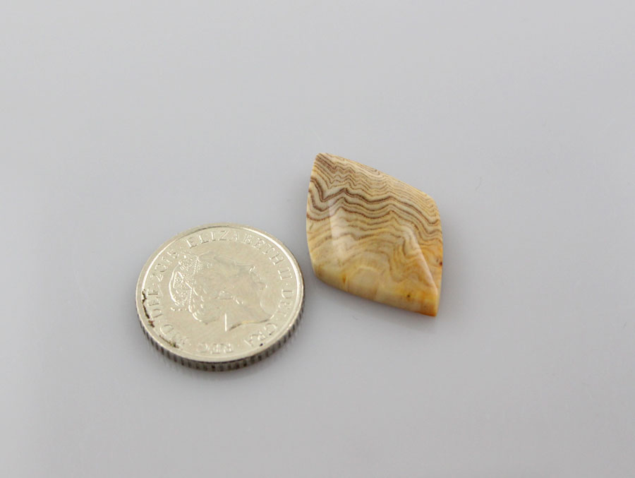 Herringbone Fossil Wood smaller cabochon