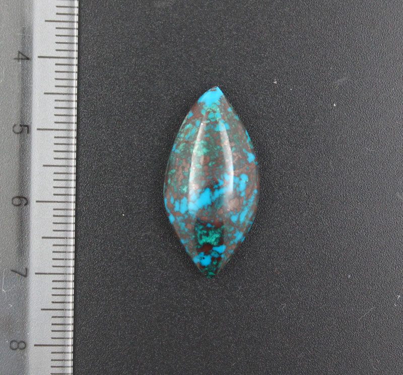 Parrots Wing Jasper  hand cut cabochon