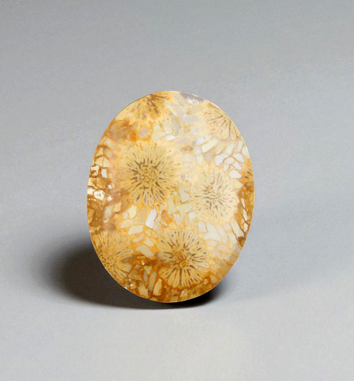 Hand cut Fossil Coral Cabochon