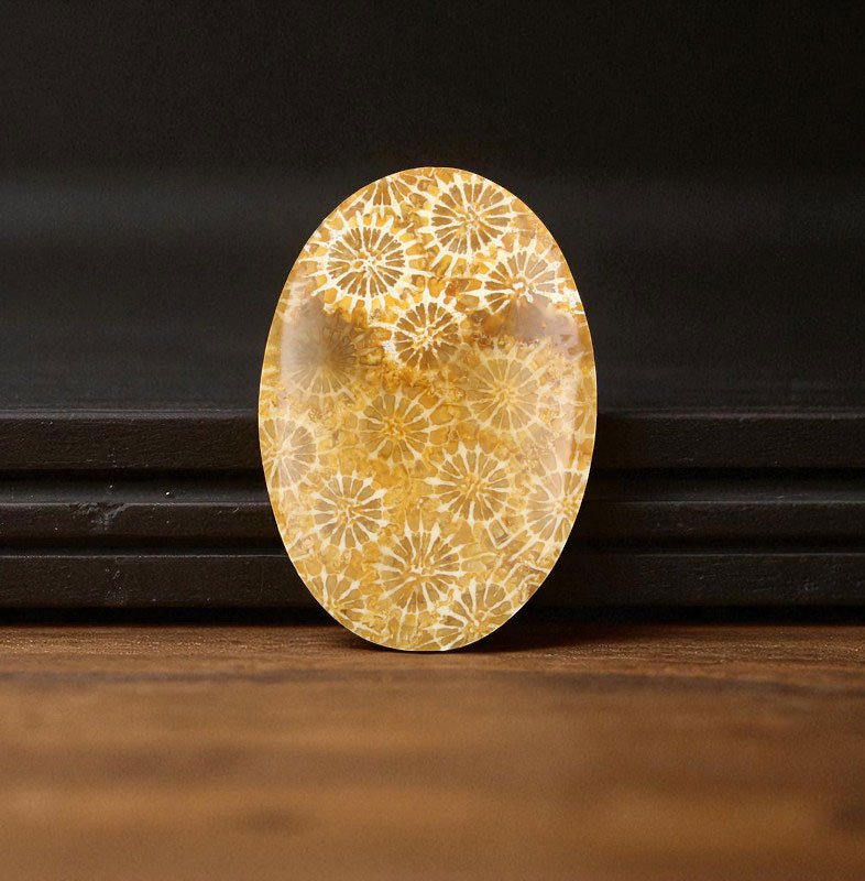 Hand cut Fossil Coral Cabochon