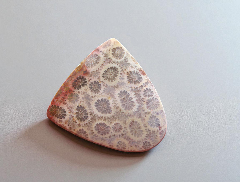 Hand cut Fossil Coral Cabochon