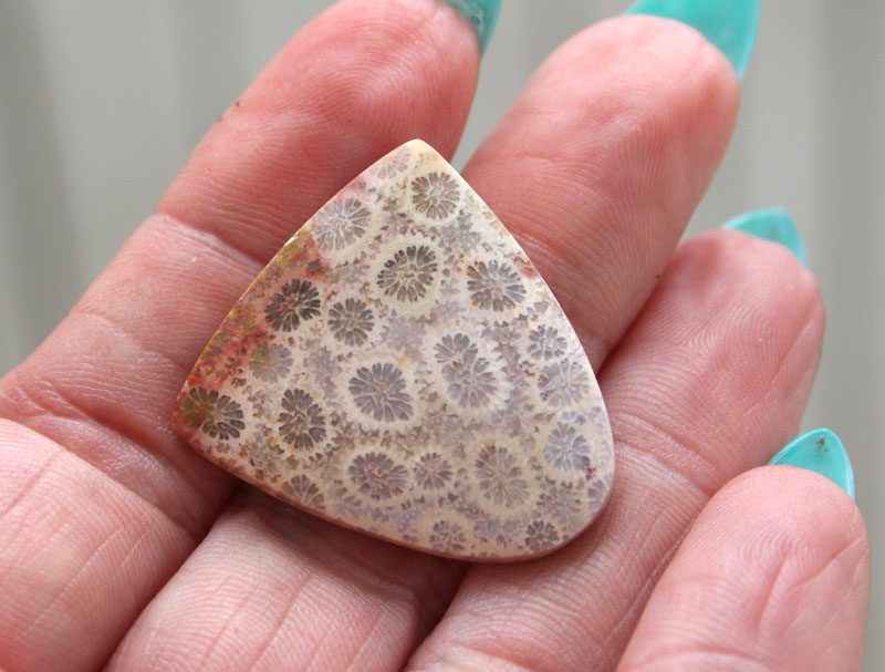 Hand cut Fossil Coral Cabochon