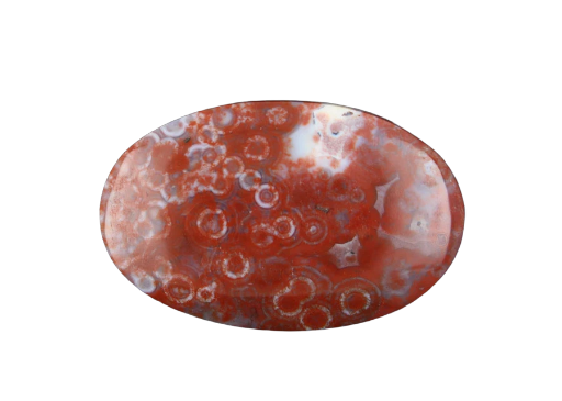 Hand cut Rare Red Ocean Jasper 