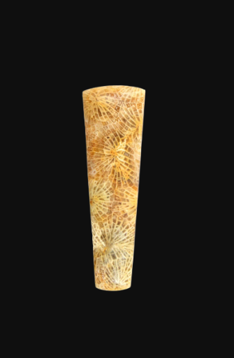 Hand cut Snake Skin Fossil Coral Cabochon