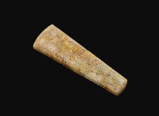 Hand cut Snake Skin Fossil Coral Cabochon