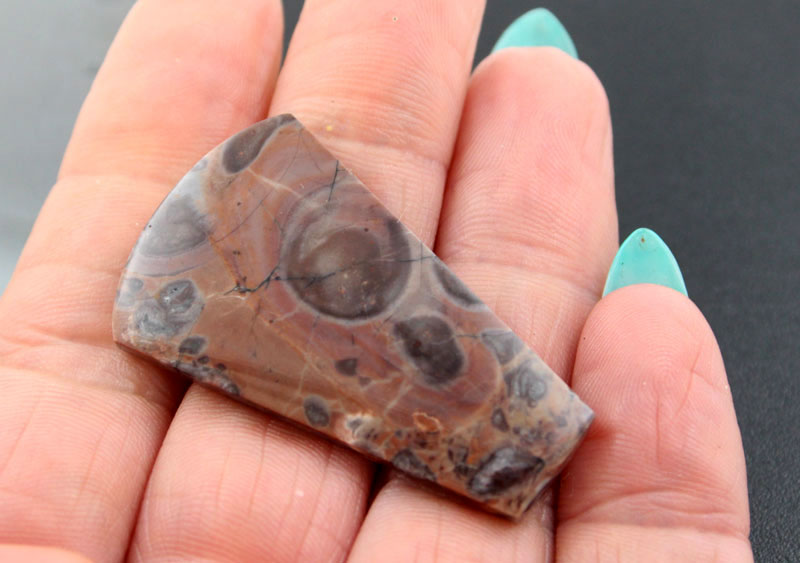 Mushroom Rhyolite cabochon 