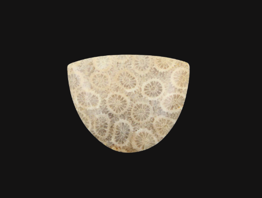 Hand cut Fossil Coral Cabochon