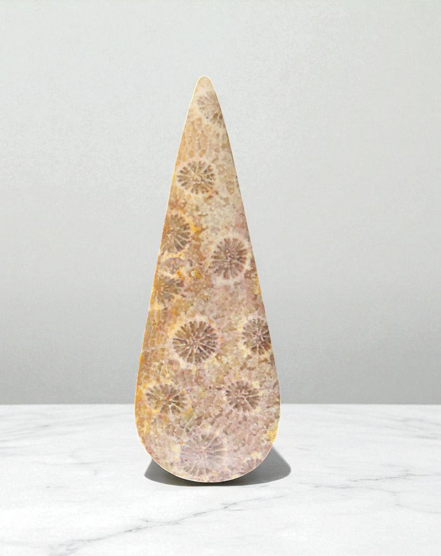 Hand cut Fossil Coral Cabochon