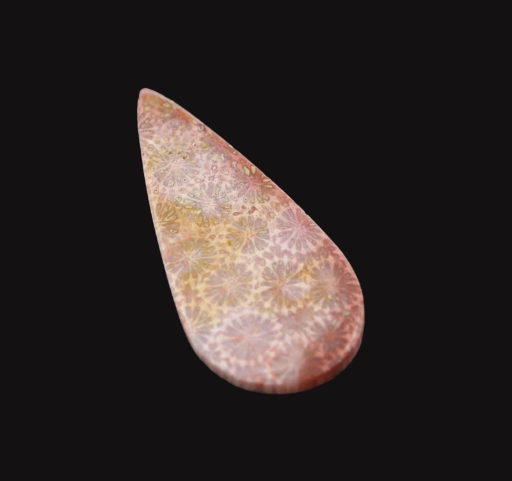 Hand cut Fossil Coral Cabochon