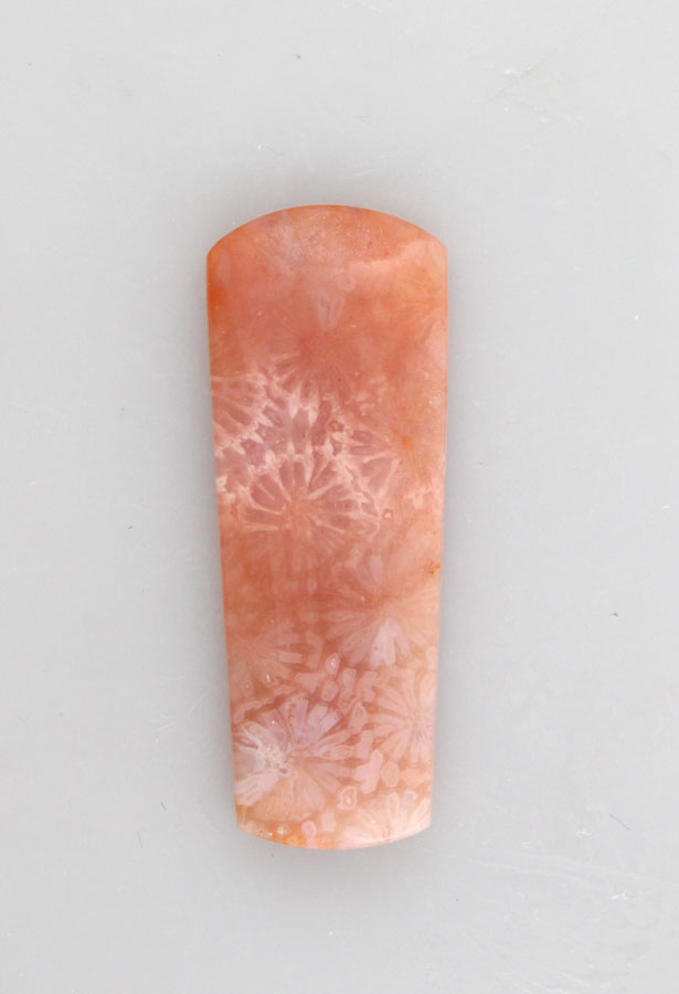 Hand cut Fossil Coral Cabochon