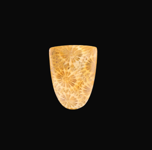 Hand cut Fossil Coral Cabochon