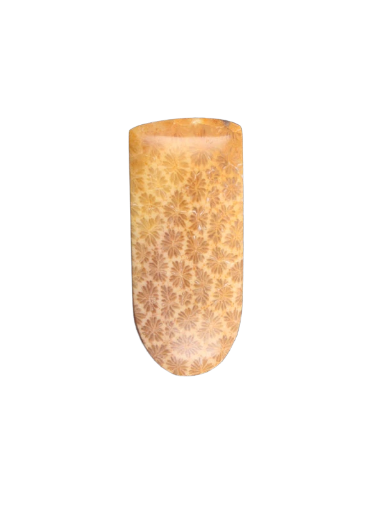 Hand cut Fossil Coral Cabochon