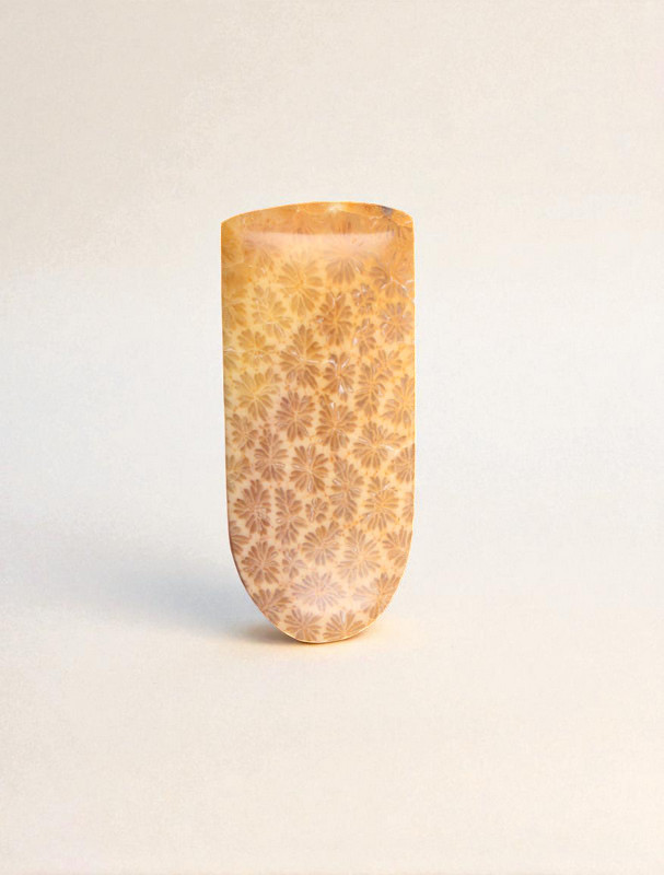 Hand cut Fossil Coral Cabochon