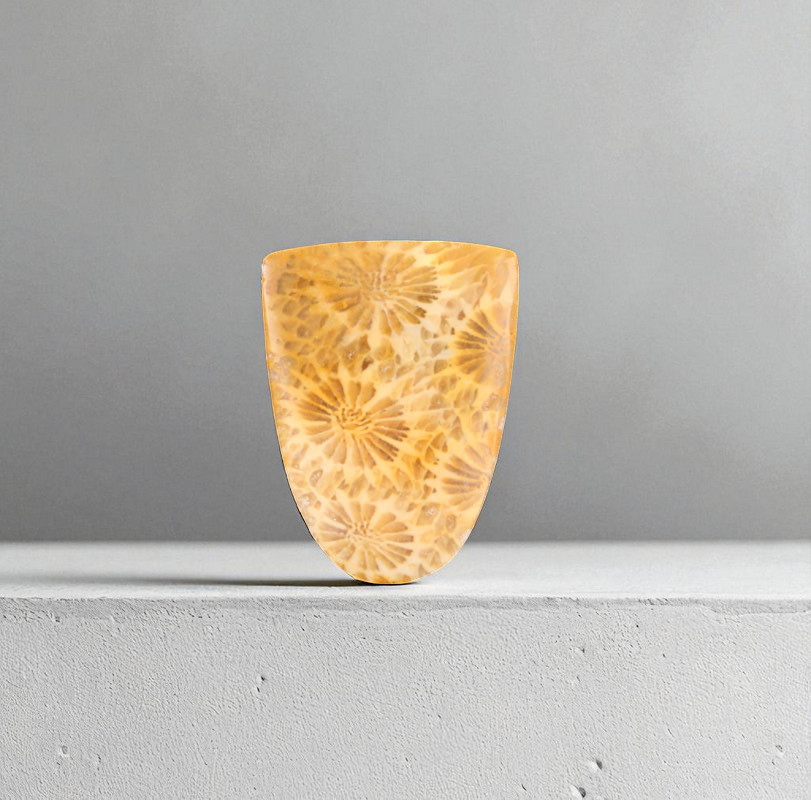 Hand cut Fossil Coral Cabochon