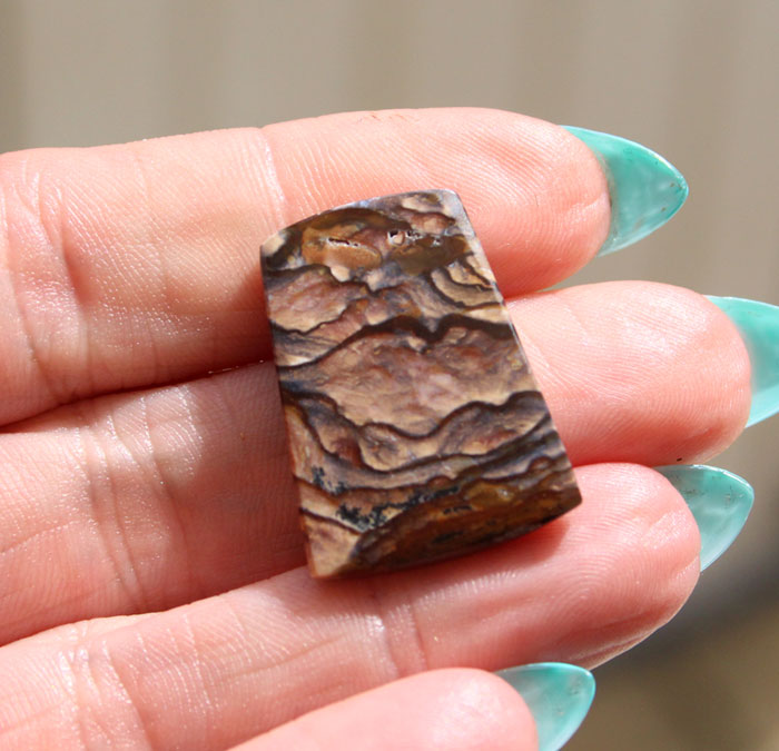 Blue Biggs Jasper Cabochon 