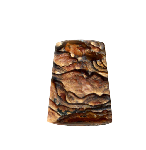 Blue Biggs Jasper Cabochon 