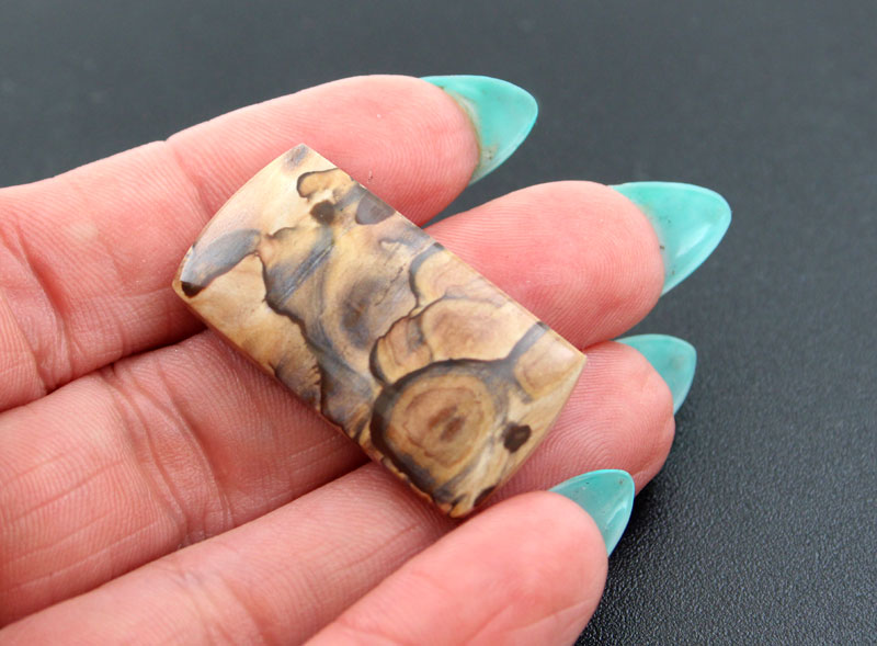 Blue Biggs Jasper Cabochon 