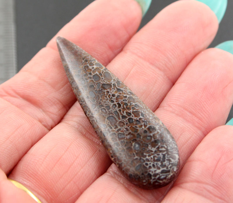 Hand cut Dinosaur Bone cabochon