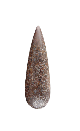 Hand cut Dinosaur Bone cabochon