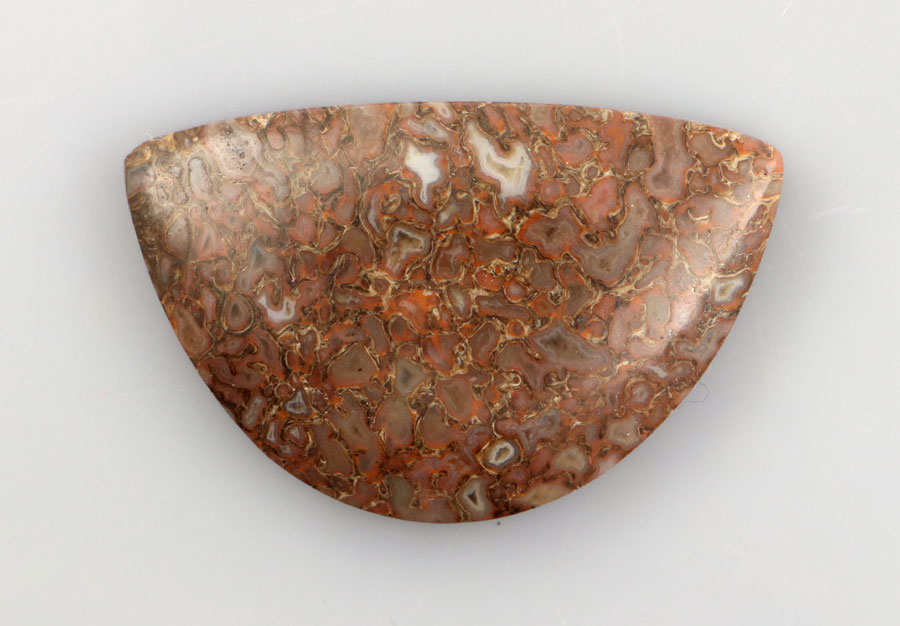 Hand cut Dinosaur Bone cabochon