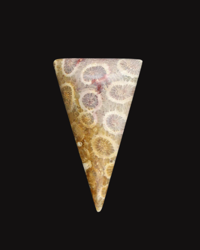 Hand cut Fossil Coral Cabochon