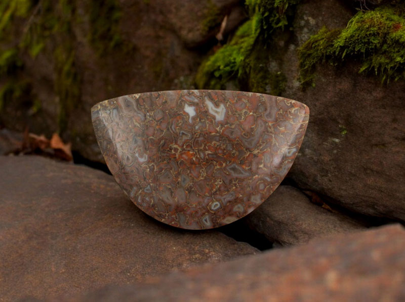 Hand cut Dinosaur Bone cabochon