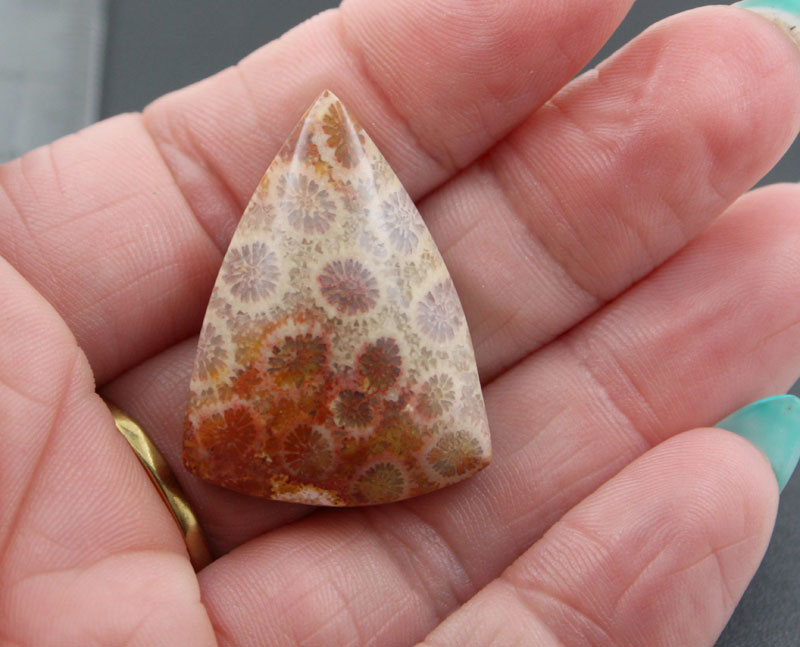Hand cut Fossil Coral Cabochon