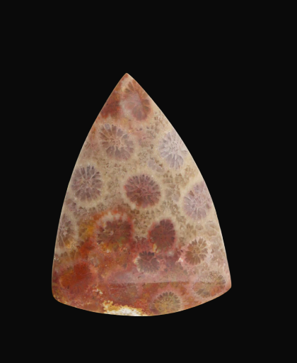 Hand cut Fossil Coral Cabochon