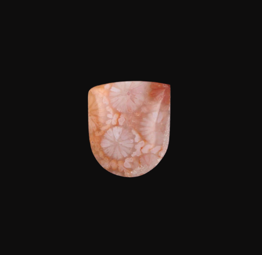 Fossil Coral Cabochon