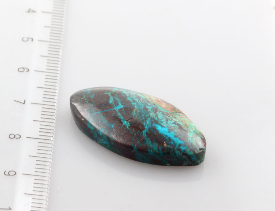 Hand Cut Parrots Wing Chrysocolla Cabochon