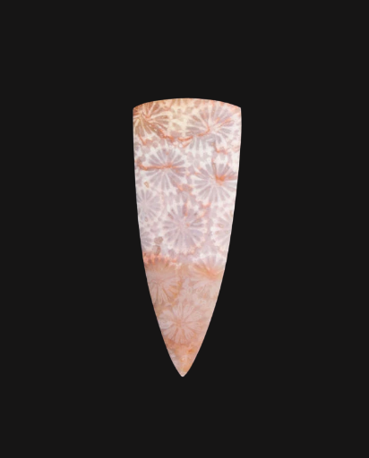 Hand cut Fossil Coral Cabochon
