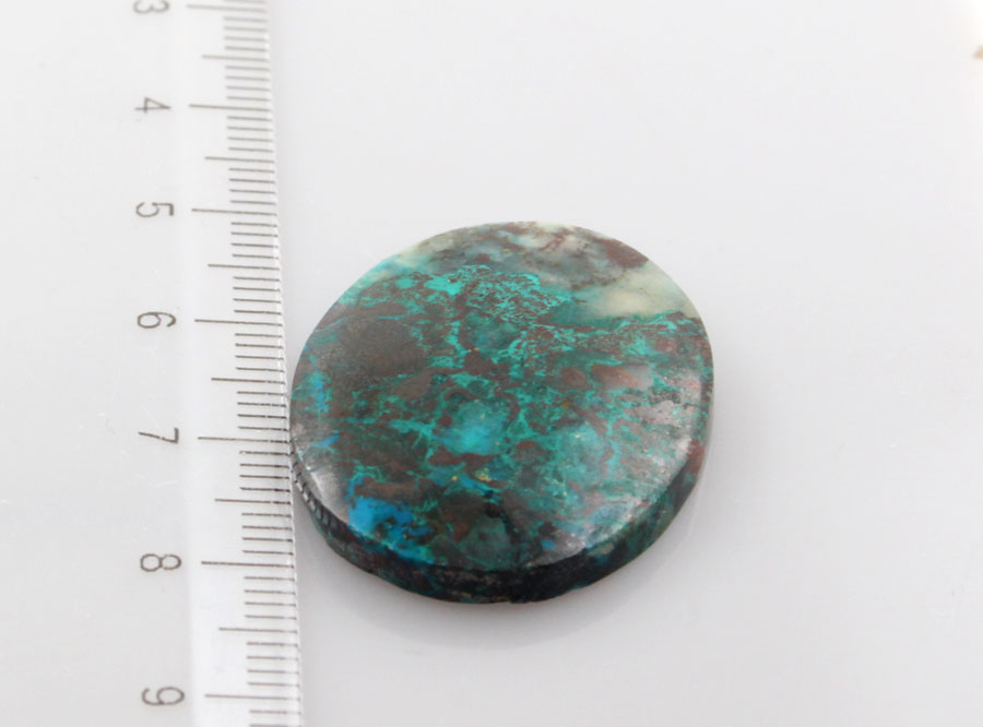 Hand Cut Parrots Wing Chrysocolla Cabochon