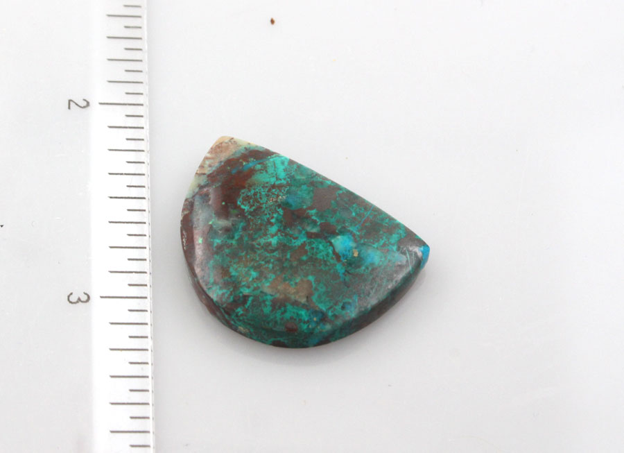 Hand Cut Parrots Wing Chrysocolla Cabochon