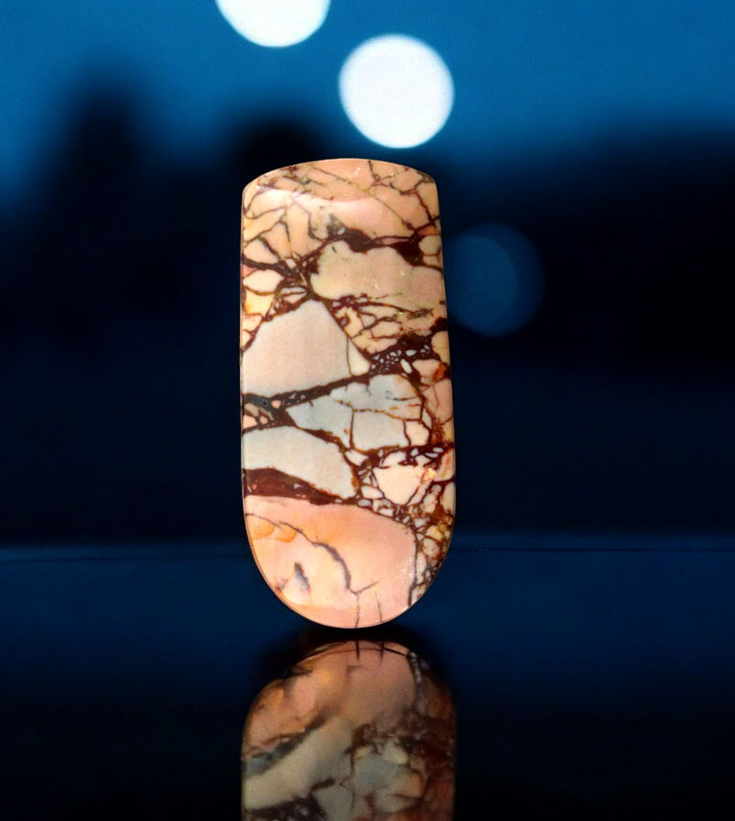 Rare Dead Camel Jasper