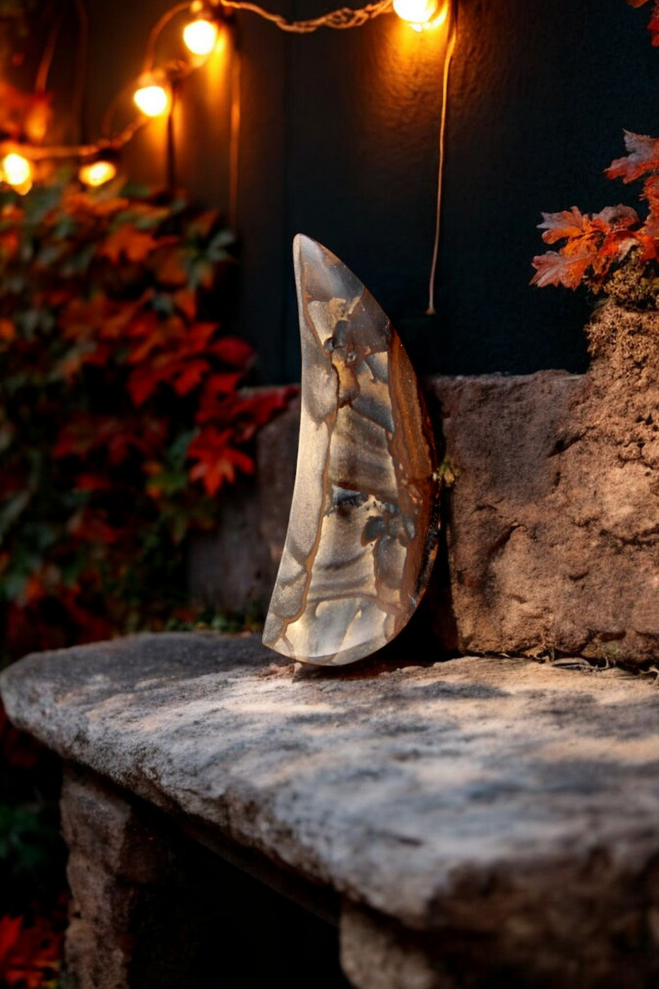  Deschutes Jasper Cabochon 