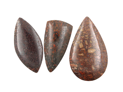 Sale bundle set of 3 Dinosaur Bone cabochon's 