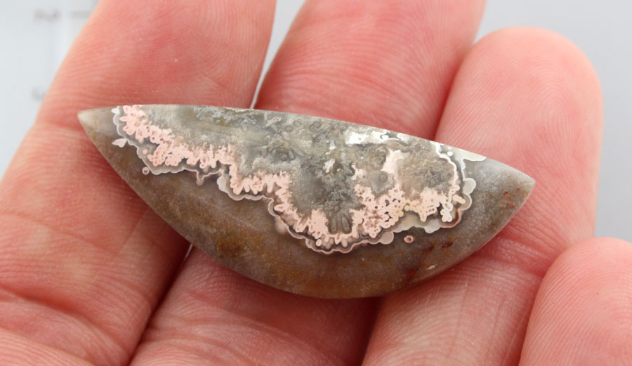 Old School Pink Bubble Noreiga  Lace Agate 