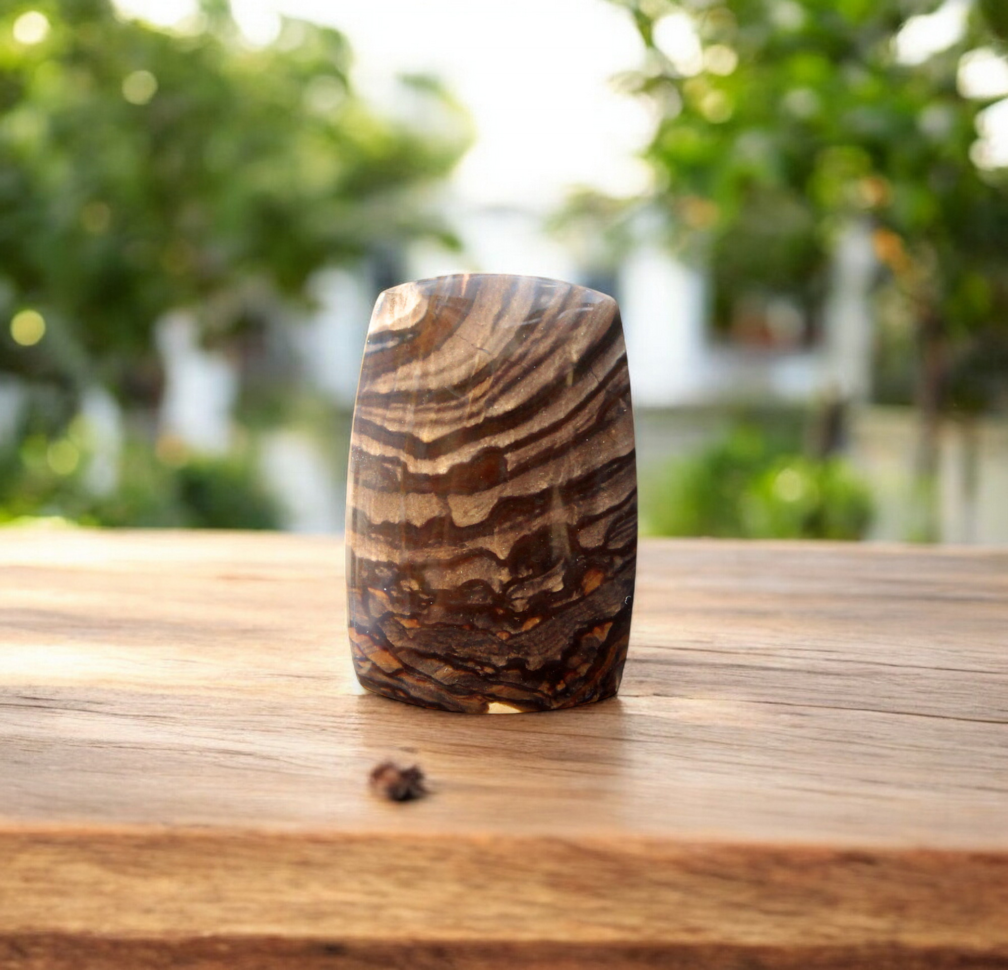 Deschutes Jasper Cabochon