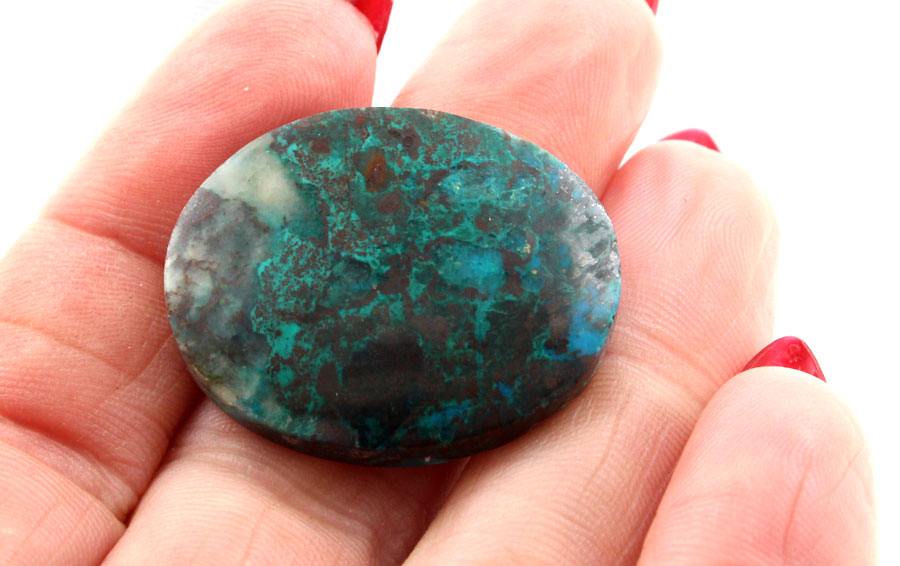 Hand Cut Parrots Wing Chrysocolla Cabochon