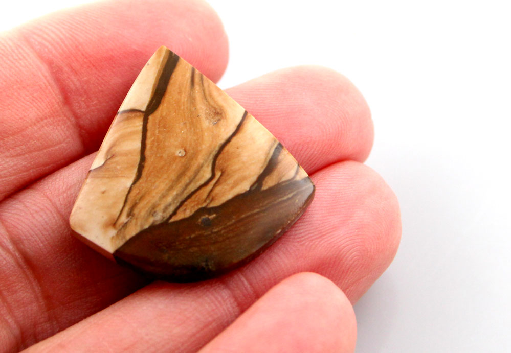 Biggs Jasper Cabochon 