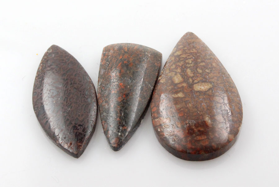 Sale bundle set of 3 Dinosaur Bone cabochon's 