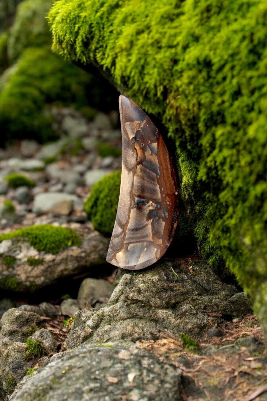  Deschutes Jasper Cabochon 