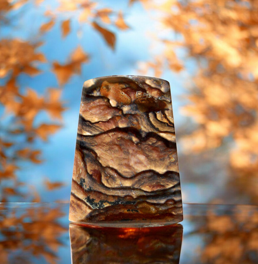 Blue Biggs Jasper Cabochon 