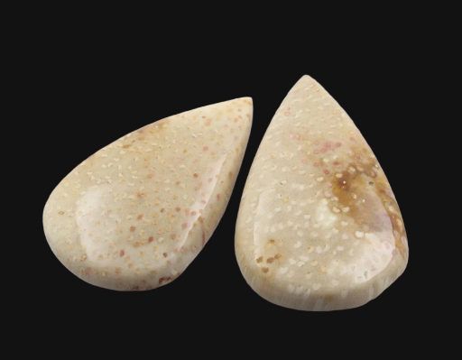 Sale bundle set of 2 Fossil palmwood cabochon's 