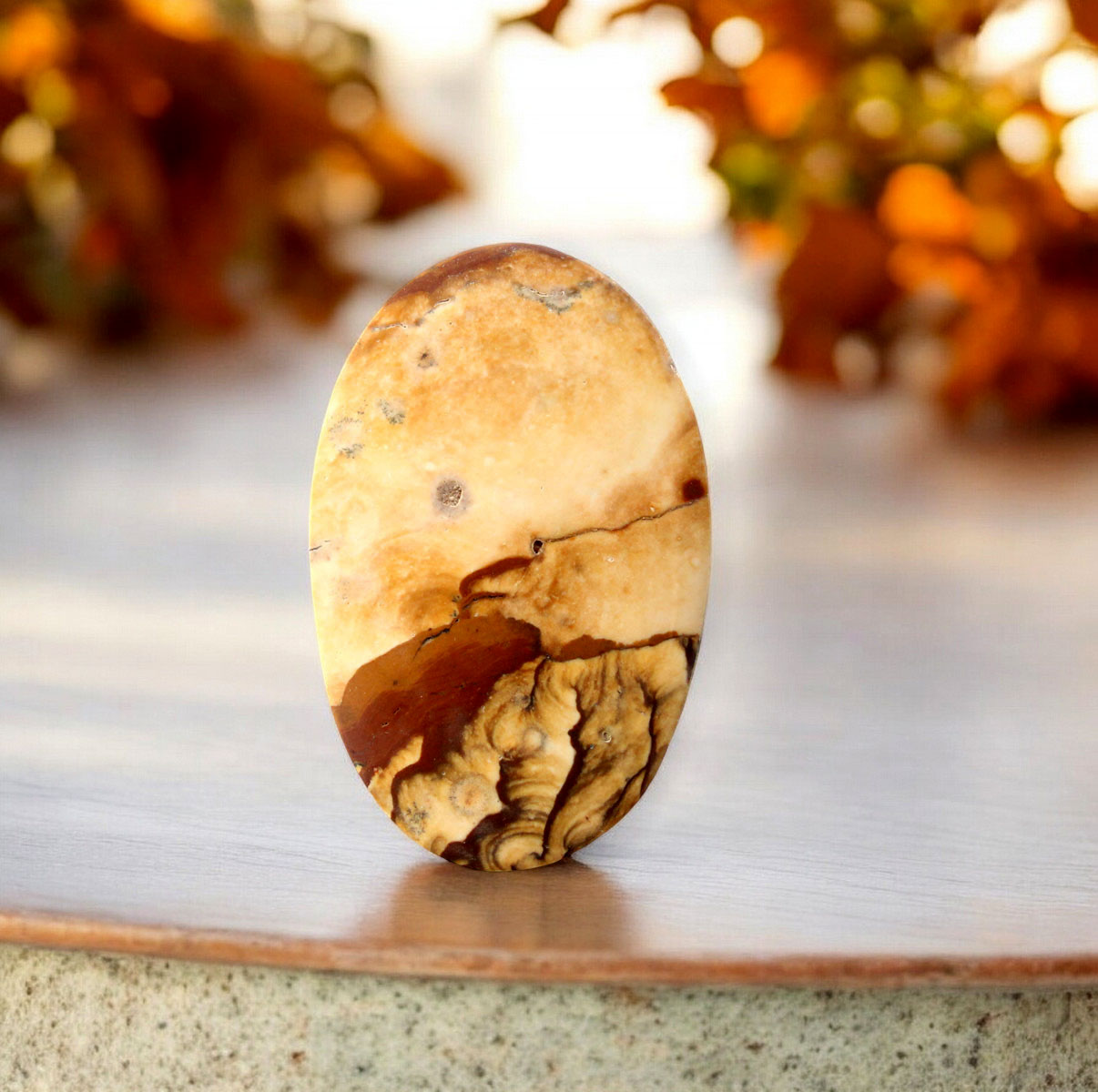 Large Blue Biggs Jasper Cabochon 