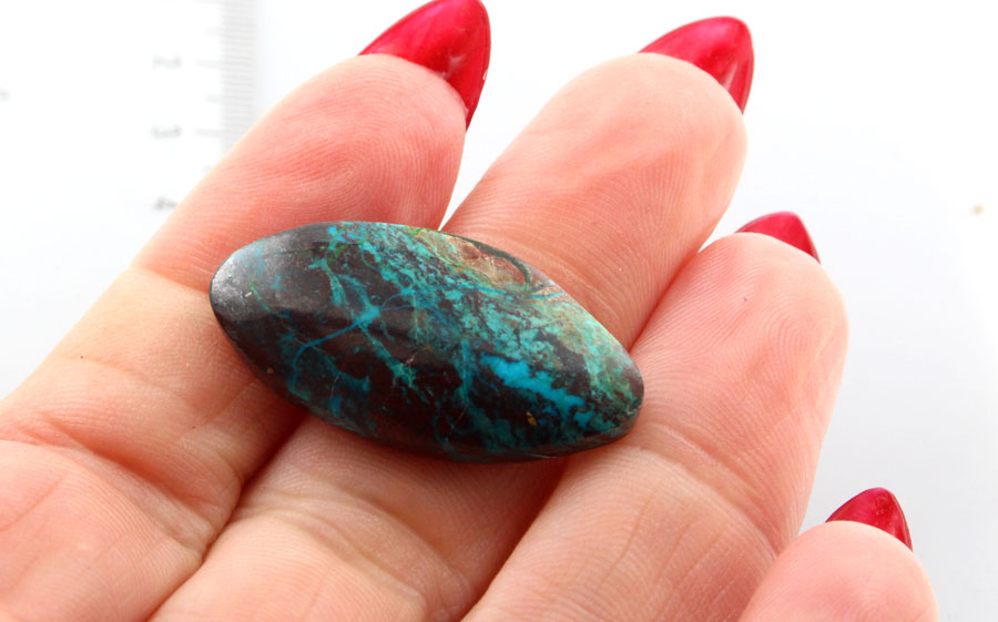 Hand Cut Parrots Wing Chrysocolla Cabochon