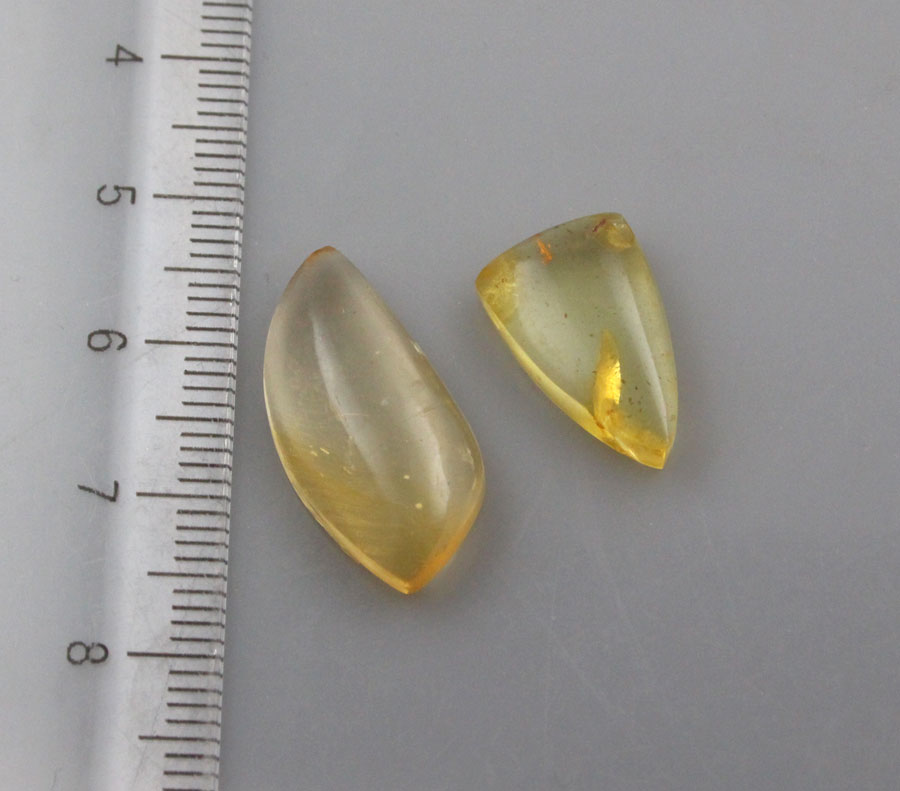 2 pieces of baltic Amber   cabochons