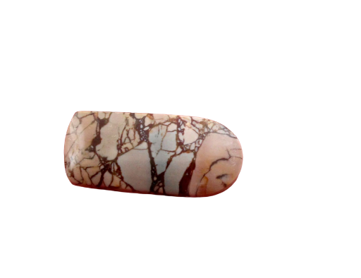 Rare Dead Camel Jasper