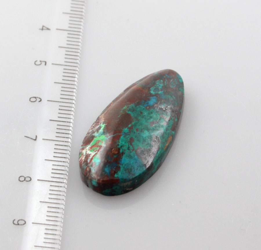 Hand Cut Parrots Wing Chrysocolla Cabochon